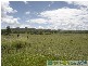 Lowmead QLD 4676