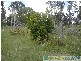 Lowmead QLD 4676