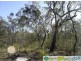 Deepwater QLD 4674