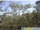 Deepwater QLD 4674
