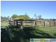 Lowmead QLD 4676