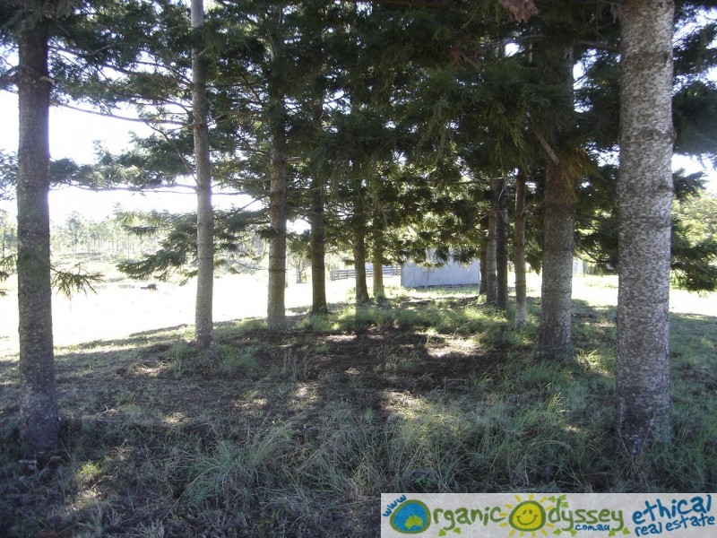 Lowmead QLD 4676