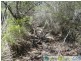 Mount Maria QLD 4674