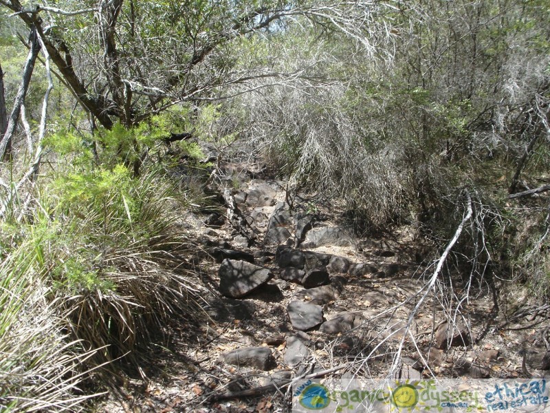 Mount Maria QLD 4674
