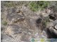 Mount Maria QLD 4674