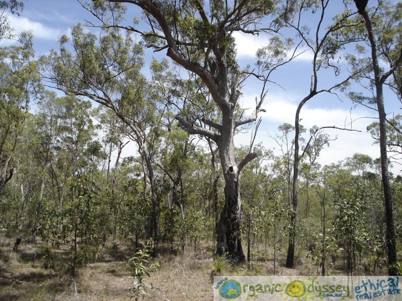 Mount Maria QLD 4674