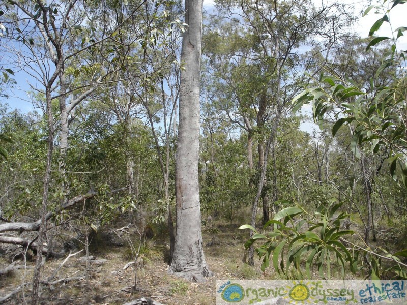 Mount Maria QLD 4674