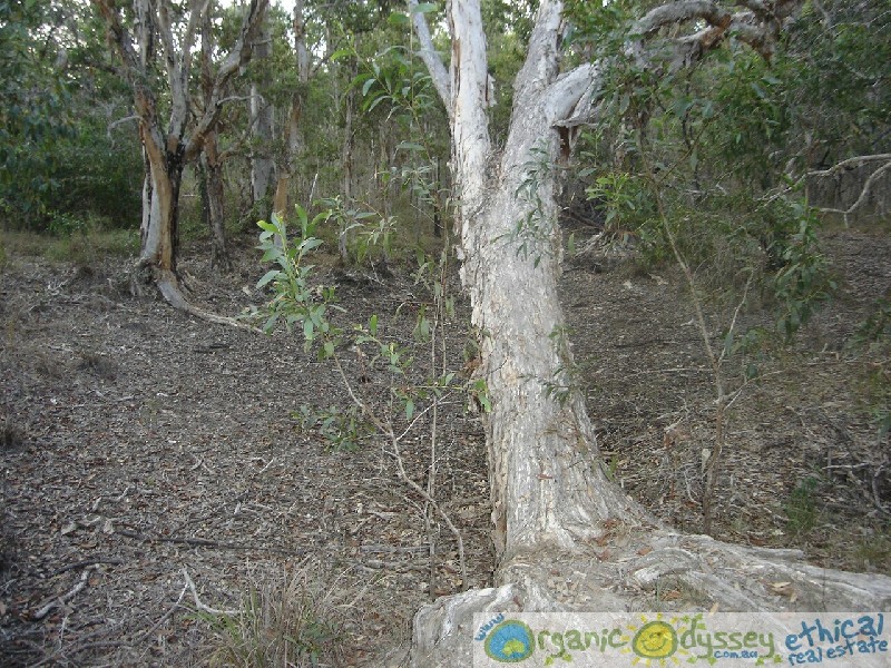 Mount Maria QLD 4674