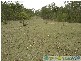 Berajondo QLD 4674