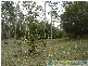 Berajondo QLD 4674