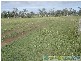 Euleilah QLD 4674