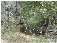 Rosedale QLD 4674