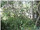 Rosedale QLD 4674
