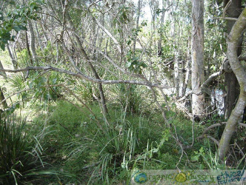 Rosedale QLD 4674