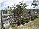 Rosedale QLD 4674