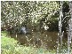 Rosedale QLD 4674