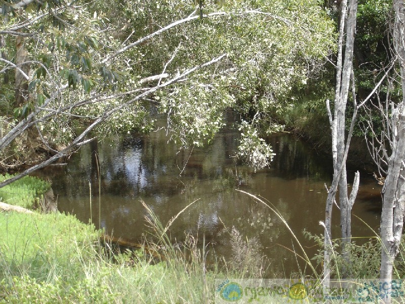 Rosedale QLD 4674