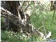 Rosedale QLD 4674