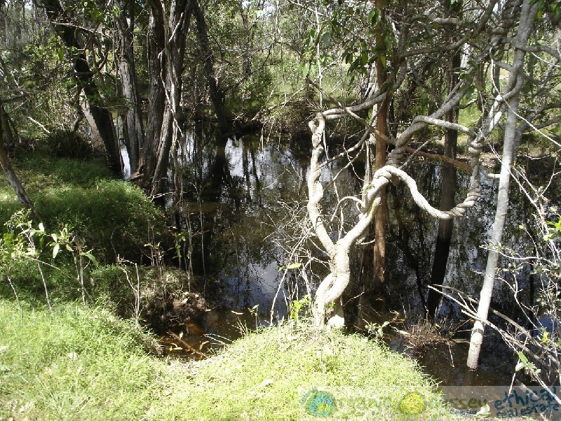 Rosedale QLD 4674