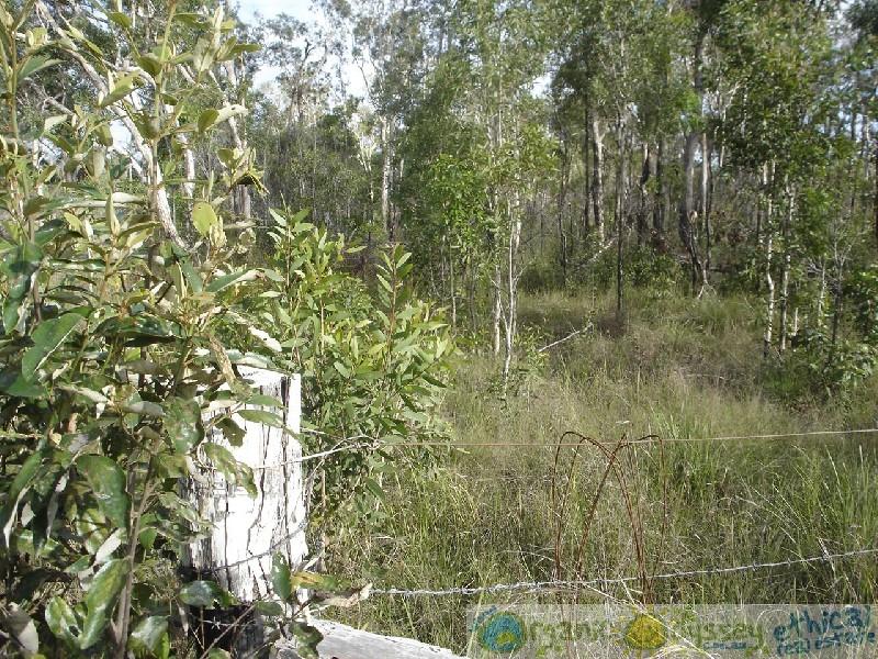 Captain Creek QLD 4677