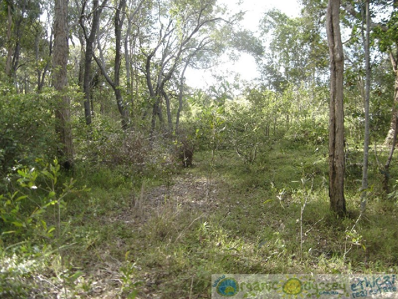 Captain Creek QLD 4677