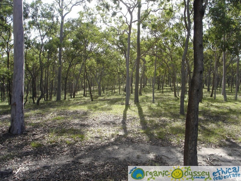 Baffle Creek QLD 4674