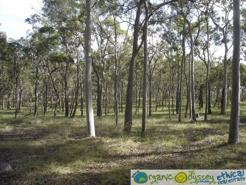 Baffle Creek QLD 4674