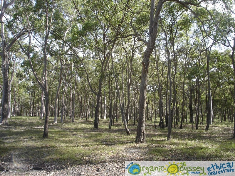 Baffle Creek QLD 4674