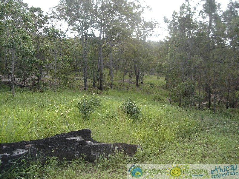 Captain Creek QLD 4677