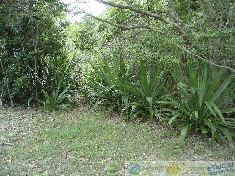 Taunton QLD 4674