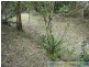Taunton QLD 4674
