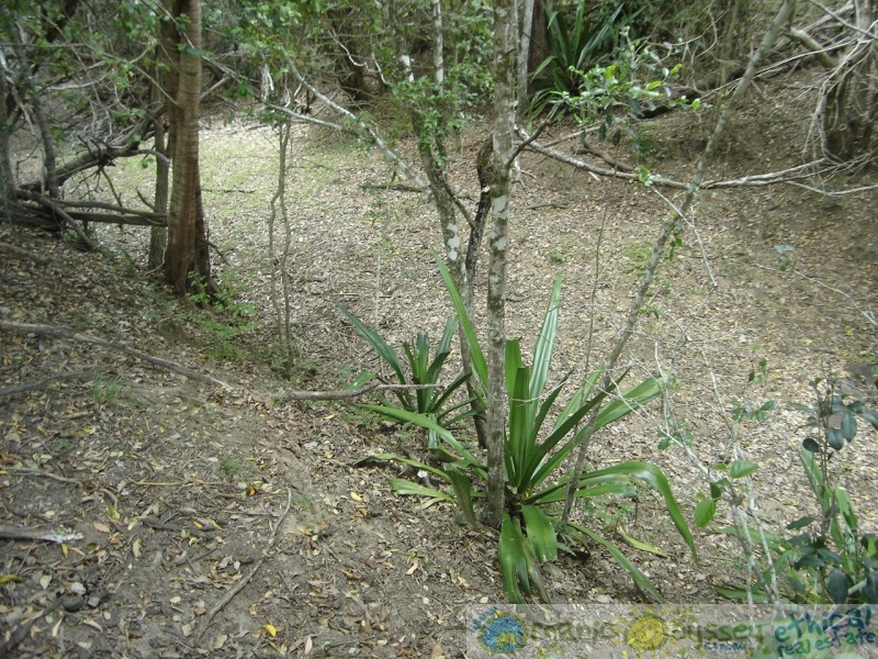 Taunton QLD 4674