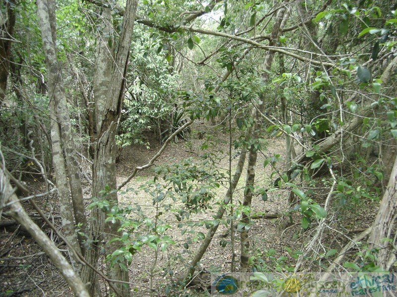 Taunton QLD 4674