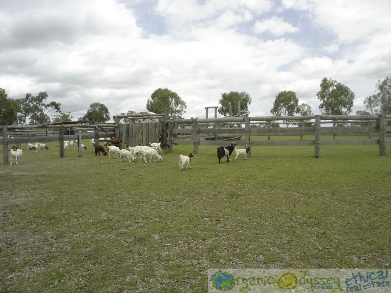 Taunton QLD 4674