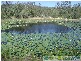 Captain Creek QLD 4677