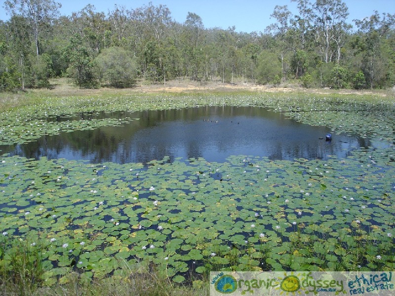 Captain Creek QLD 4677