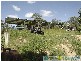 Captain Creek QLD 4677