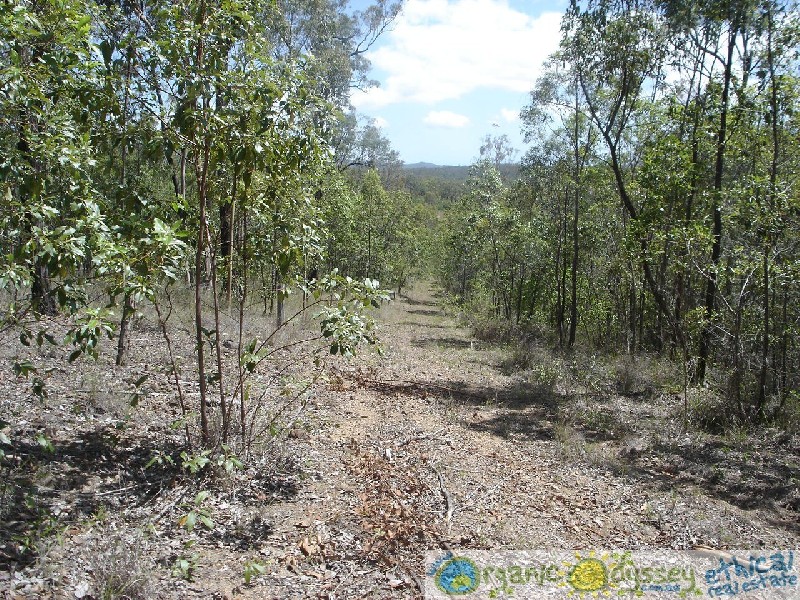 Captain Creek QLD 4677