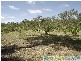 Captain Creek QLD 4677
