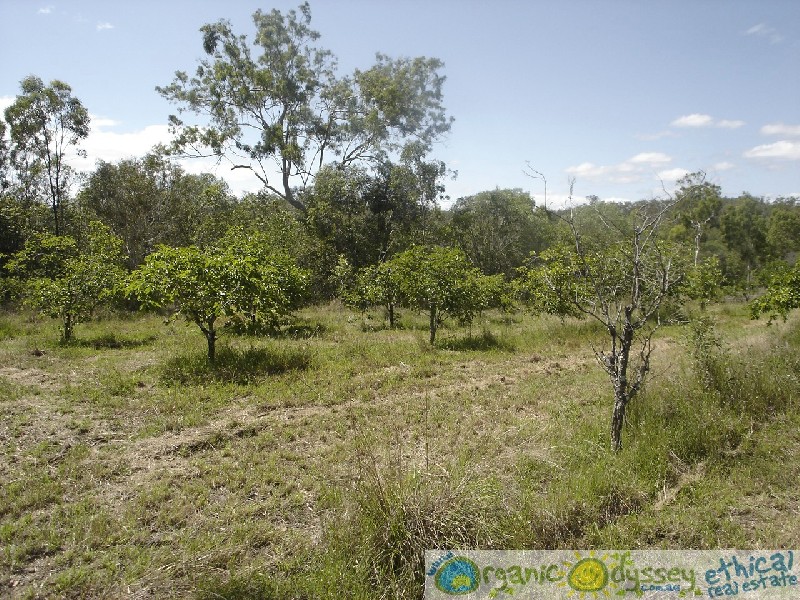 Captain Creek QLD 4677