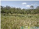 Captain Creek QLD 4677