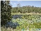 Captain Creek QLD 4677
