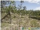 Captain Creek QLD 4677