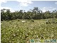 Captain Creek QLD 4677