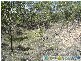 Captain Creek QLD 4677