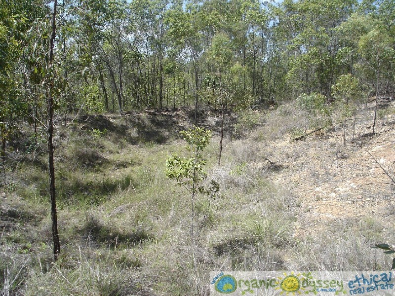 Captain Creek QLD 4677