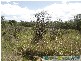 Captain Creek QLD 4677