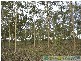 Rosedale QLD 4674