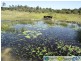Euleilah QLD 4674