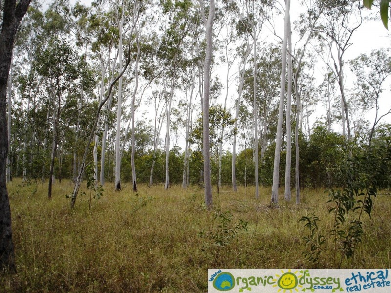 Colosseum QLD 4677
